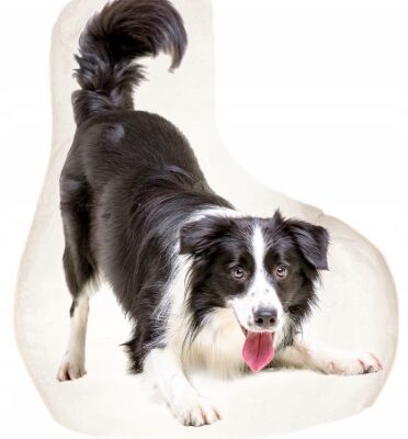 PODUSZKA KSZTAŁTKA PIES PIESEK BORDER COLLIE tył plusz minky