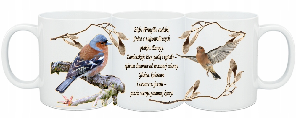 8377c717a69279b15c7fa7803d757a4c