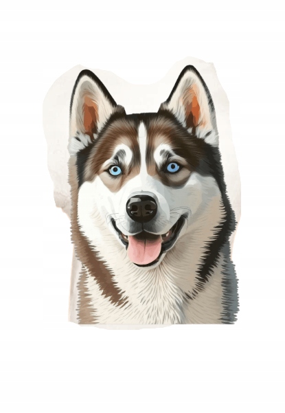 poduszka kształtka pies piesek husky tył plusz minky